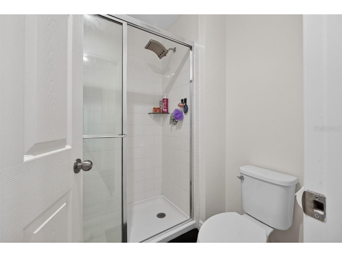 6022 Sierra Crown Street Mount Dora FL 32757 V4946387 image33
