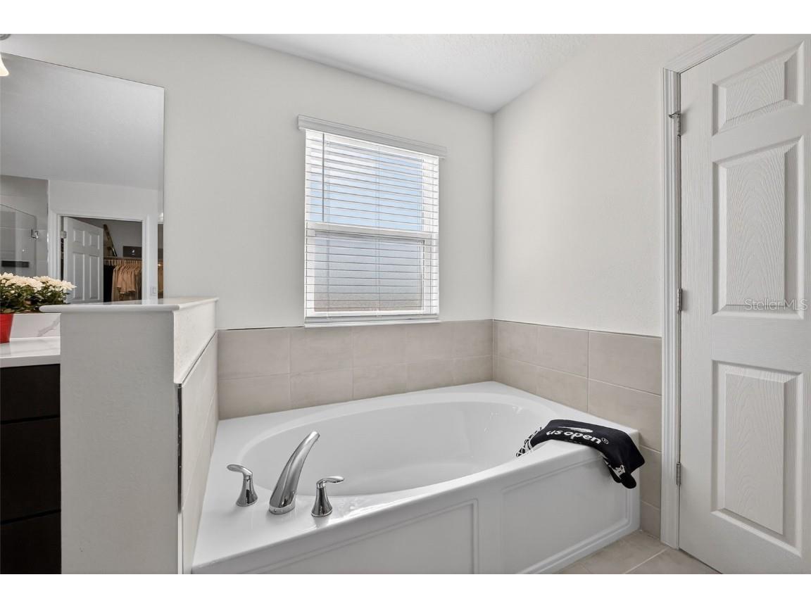 6022 Sierra Crown Street Mount Dora FL 32757 V4946387 image39