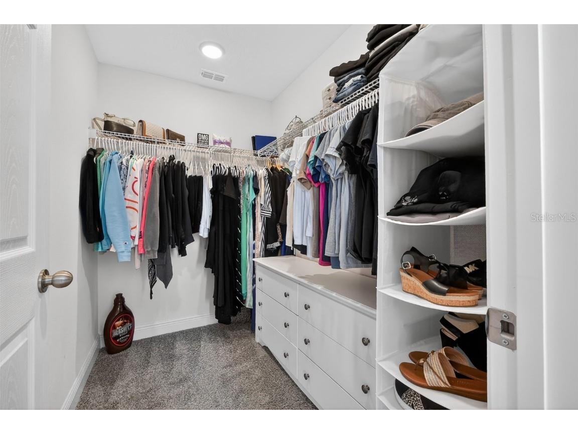 6022 Sierra Crown Street Mount Dora FL 32757 V4946387 image41