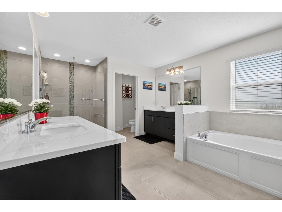 6022 Sierra Crown Street Mount Dora FL 32757 V4946387 image7