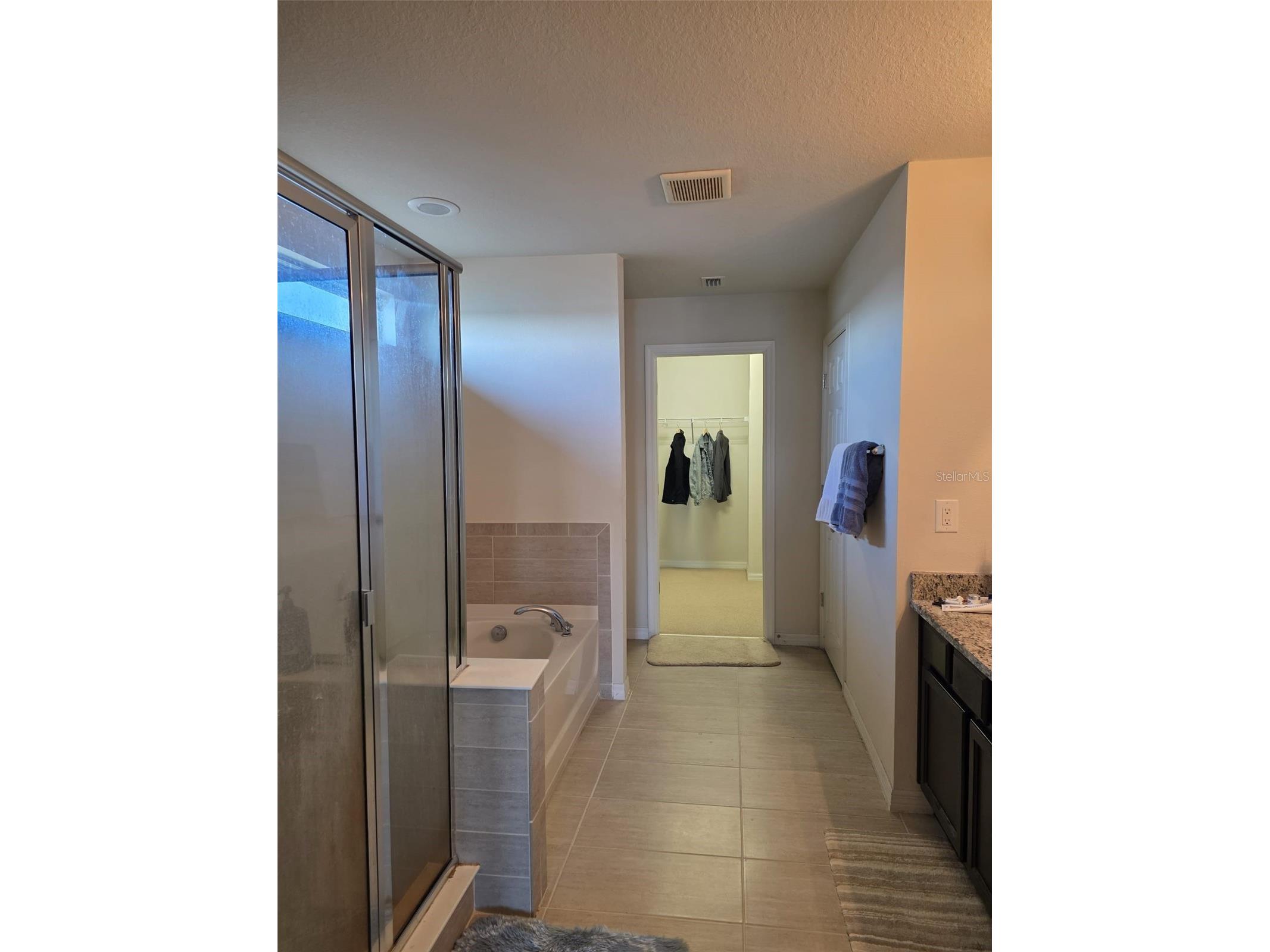 6022 Sweet Birch Drive Riverview FL 33578 O6409387 image14