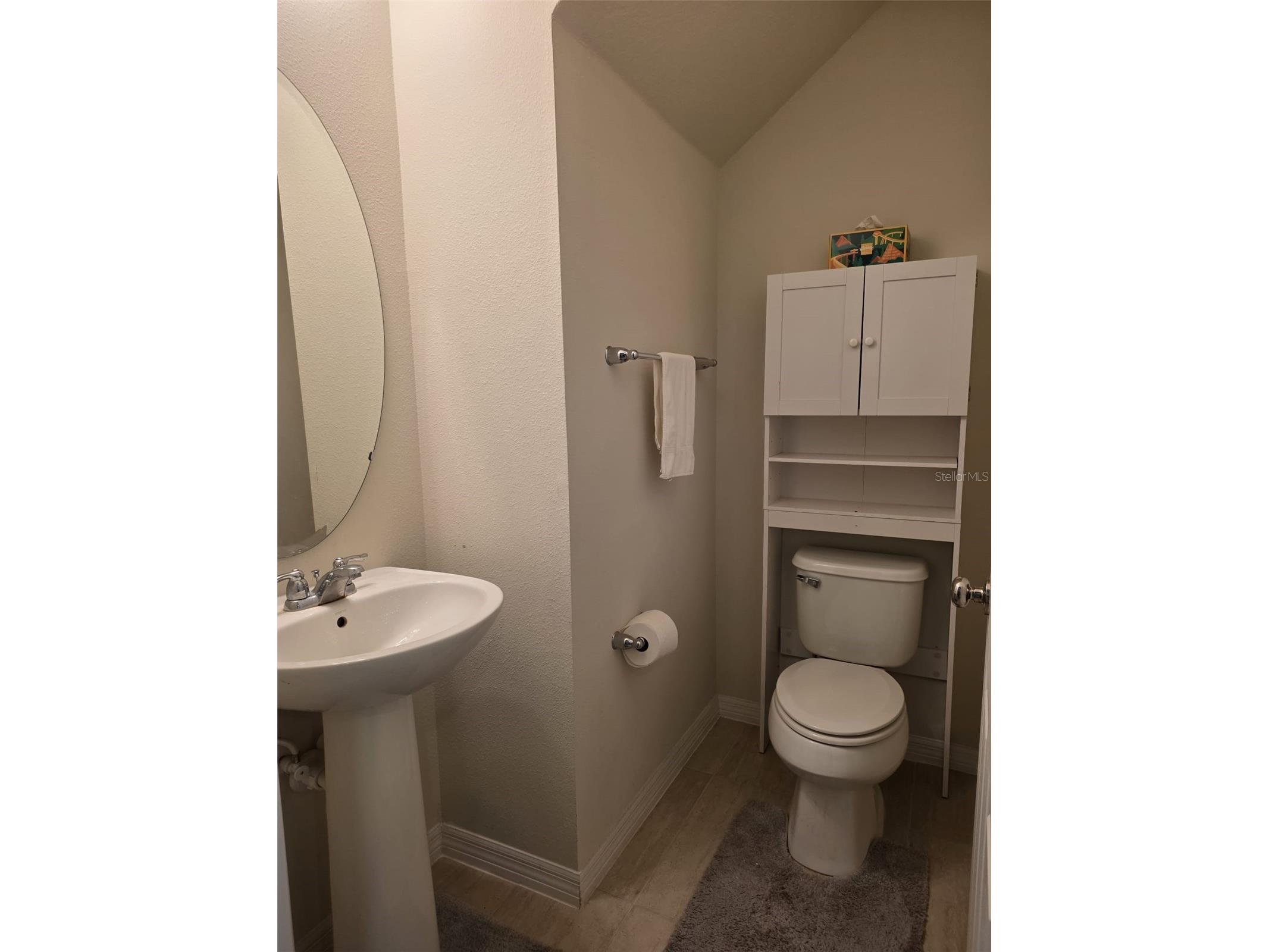 6022 Sweet Birch Drive Riverview FL 33578 O6409387 image15