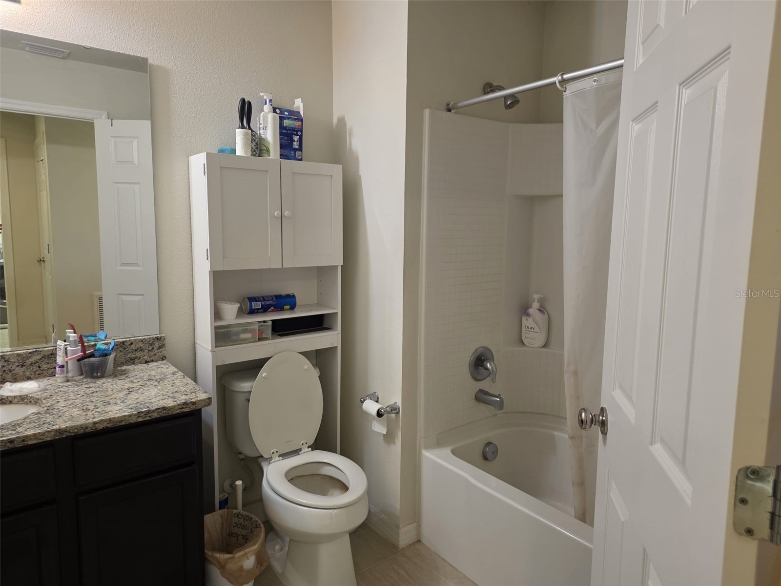 6022 Sweet Birch Drive Riverview FL 33578 O6409387 image16