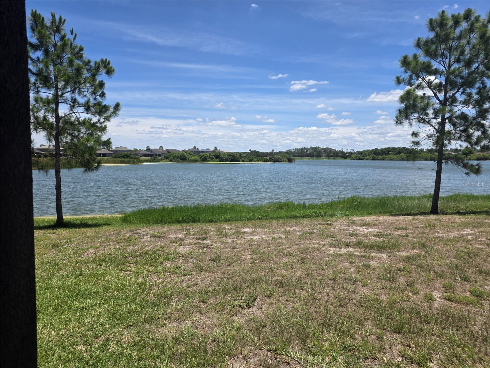 6022 Sweet Birch Drive Riverview FL 33578 O6409387 image19