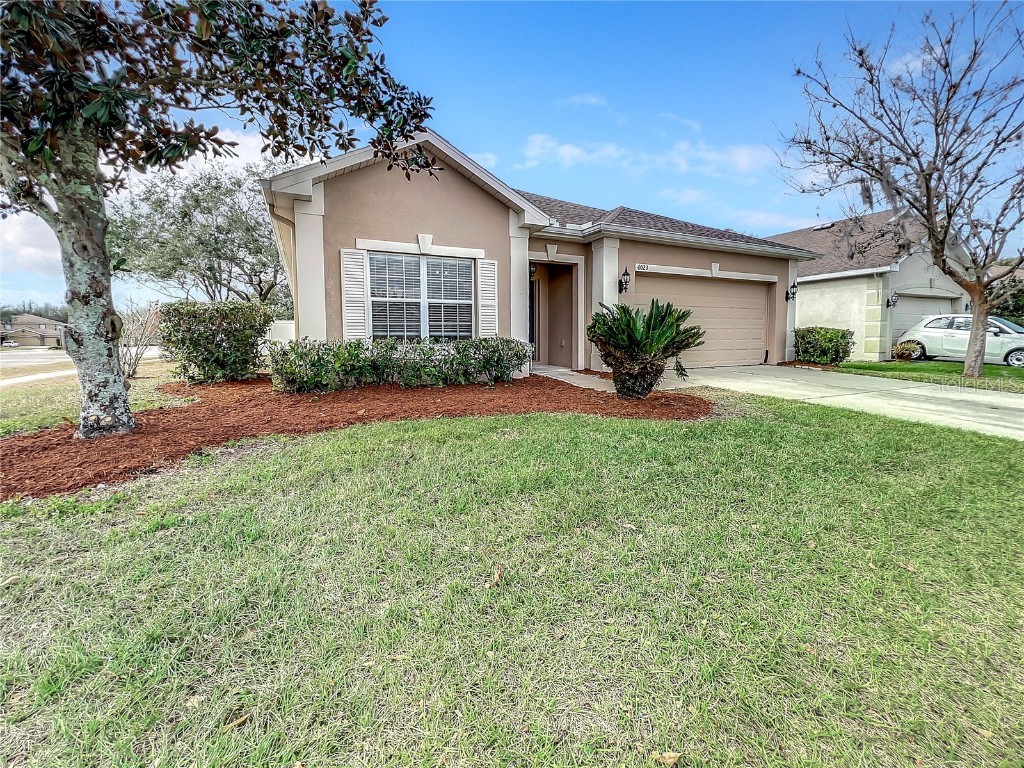 6023 Desert Peace Avenue Land O Lakes FL 34639 T3428135 image1