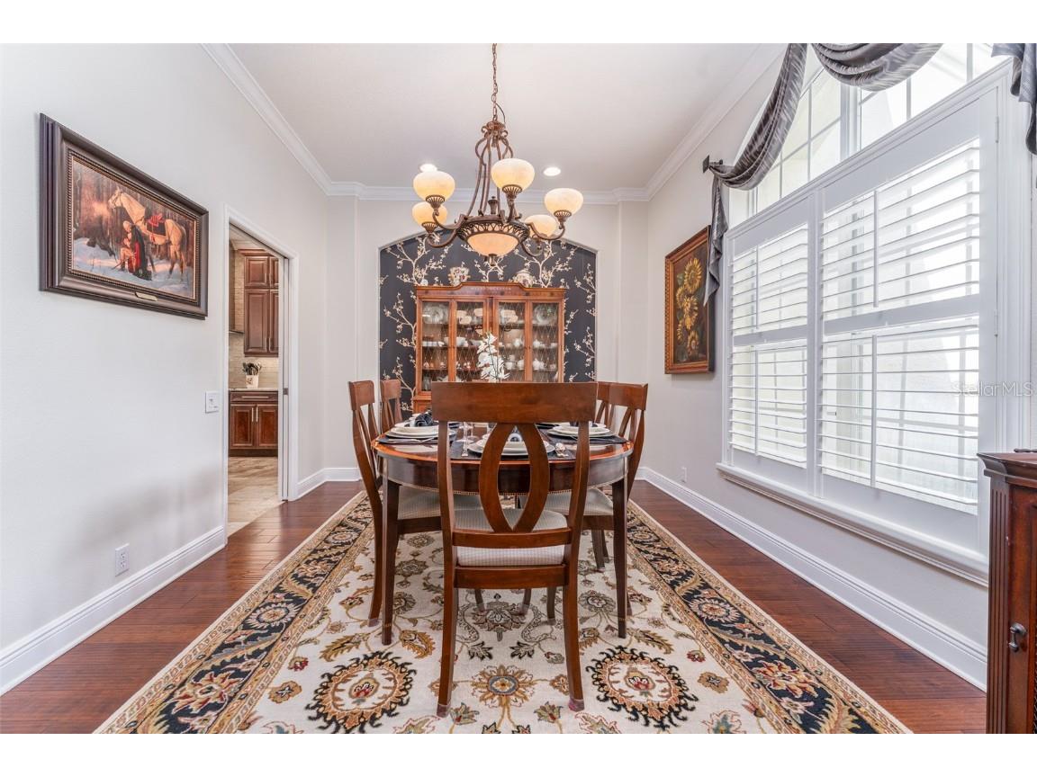 6023 Hammock Hill Avenue Lithia FL 33547 TB8421308 image13