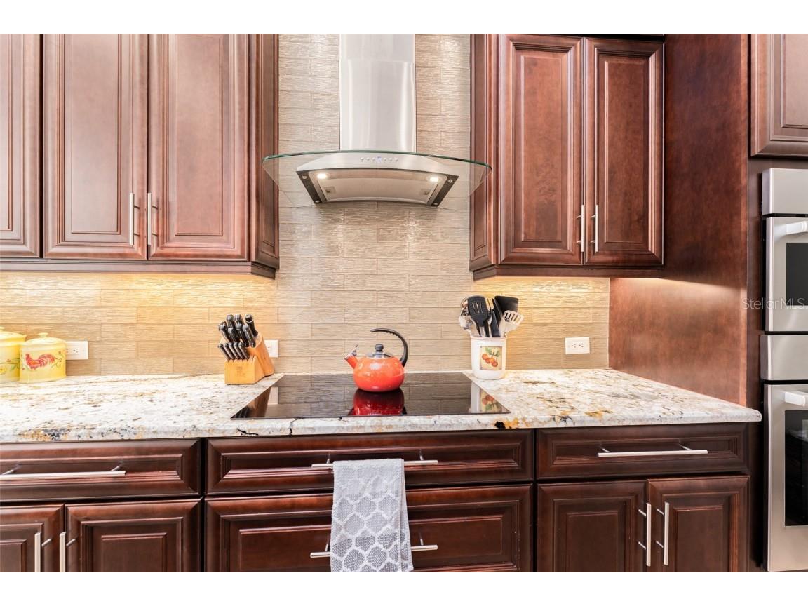 6023 Hammock Hill Avenue Lithia FL 33547 TB8421308 image20