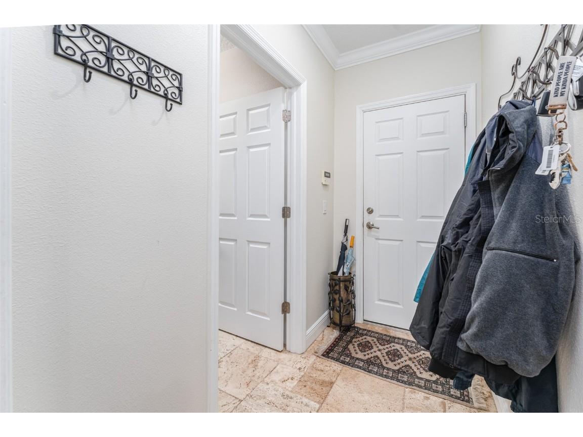 6023 Hammock Hill Avenue Lithia FL 33547 TB8421308 image43