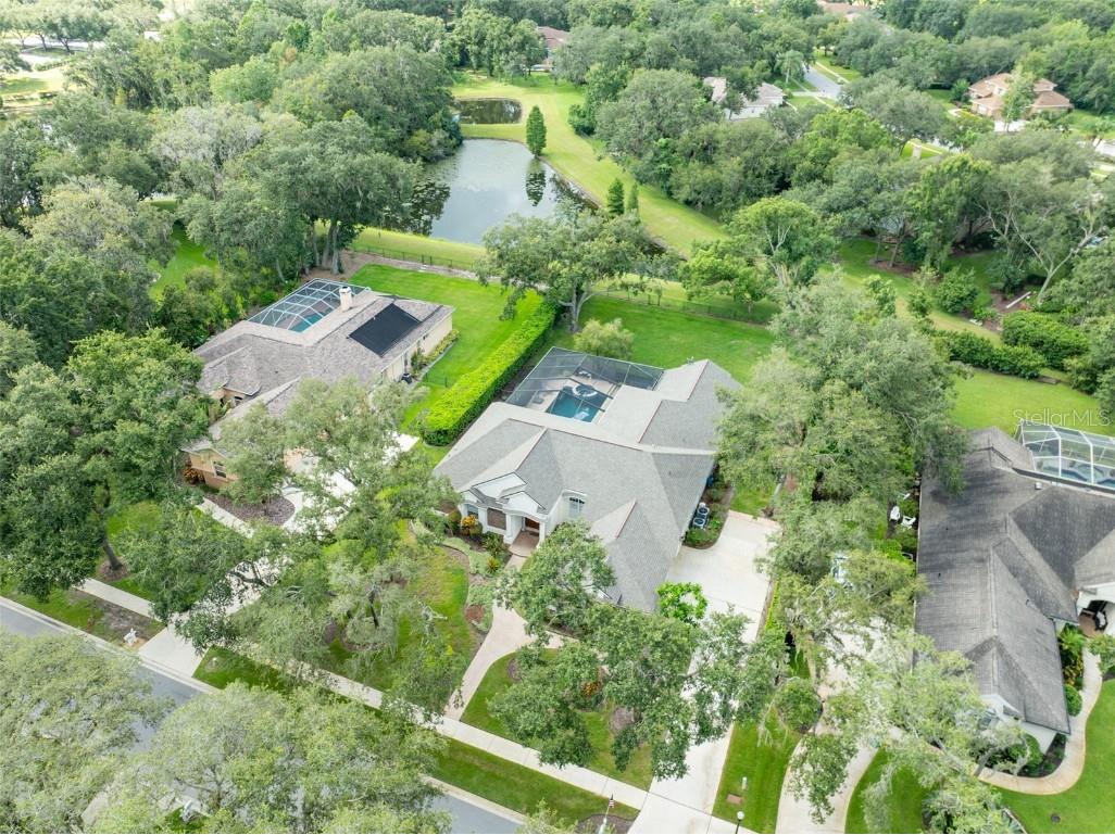 6023 Hammock Hill Avenue Lithia FL 33547 TB8421308 image5