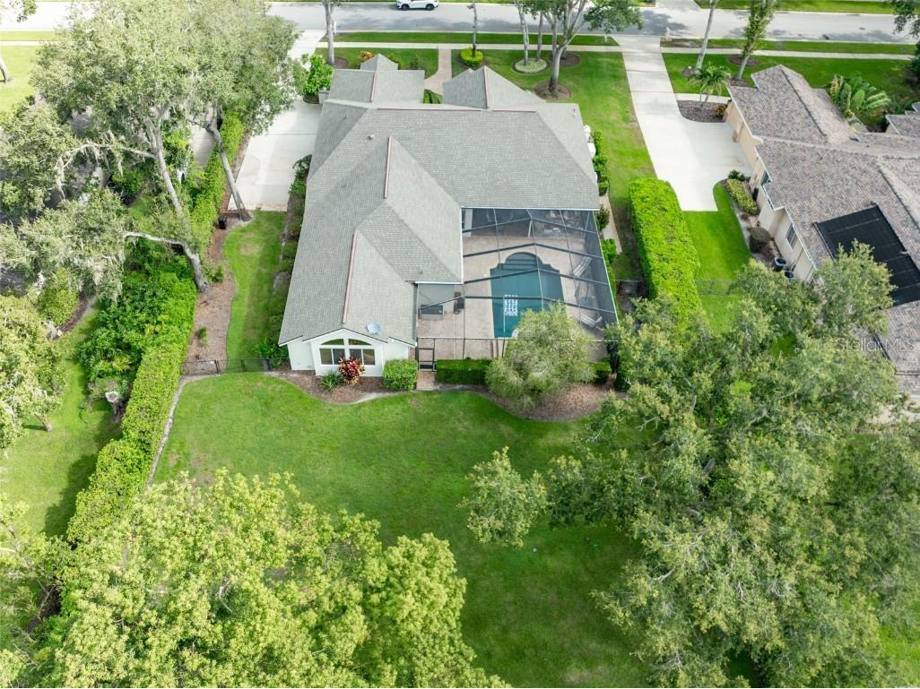 6023 Hammock Hill Avenue Lithia FL 33547 TB8421308 image56