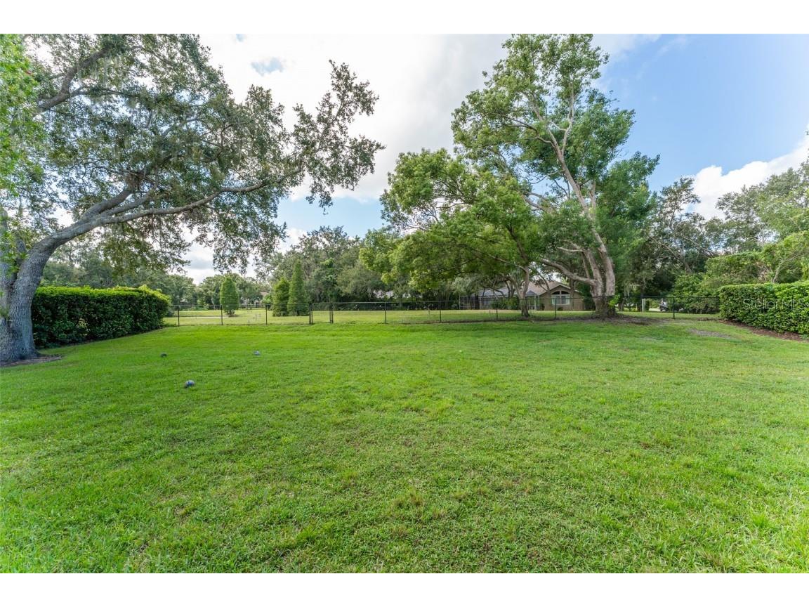 6023 Hammock Hill Avenue Lithia FL 33547 TB8421308 image58