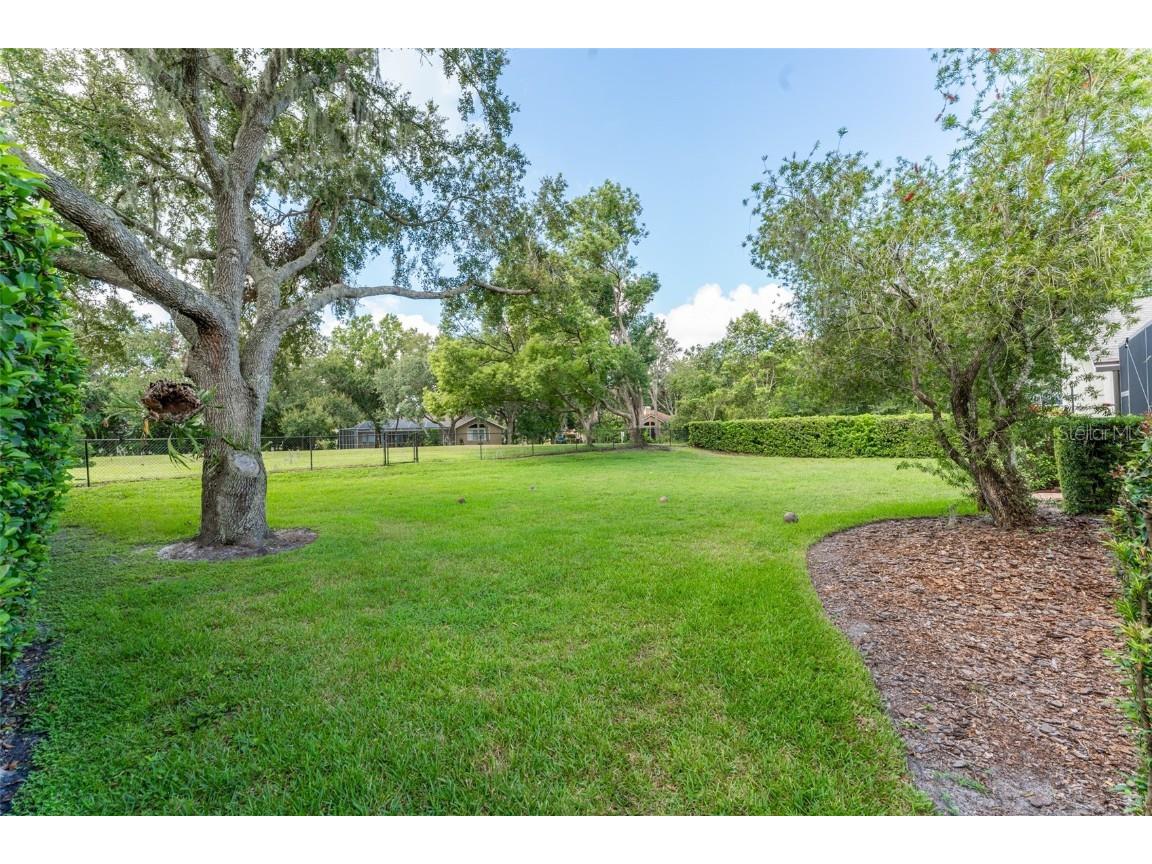 6023 Hammock Hill Avenue Lithia FL 33547 TB8421308 image59