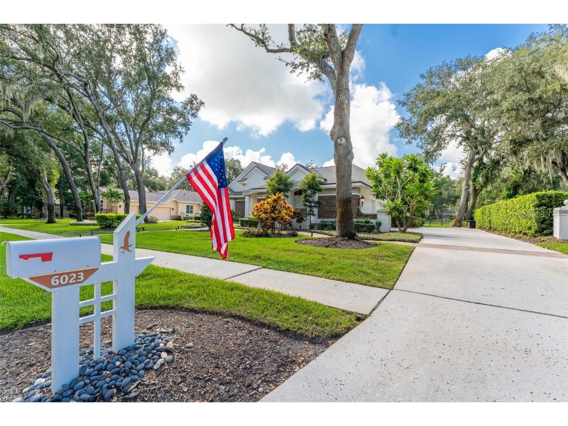 6023 Hammock Hill Avenue Lithia FL 33547 TB8421308 image6