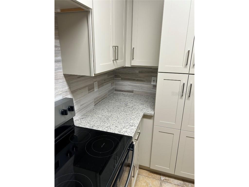 6023 Osprey Lake Circle Riverview FL 33578 TB8437209 image11