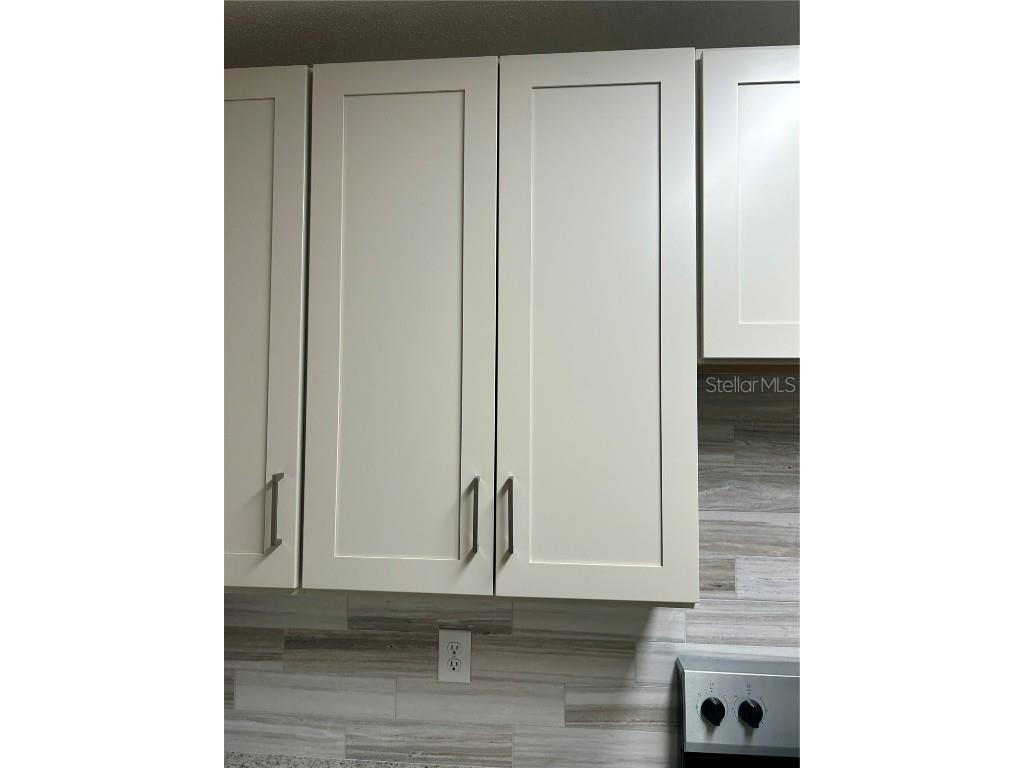 6023 Osprey Lake Circle Riverview FL 33578 TB8437209 image15