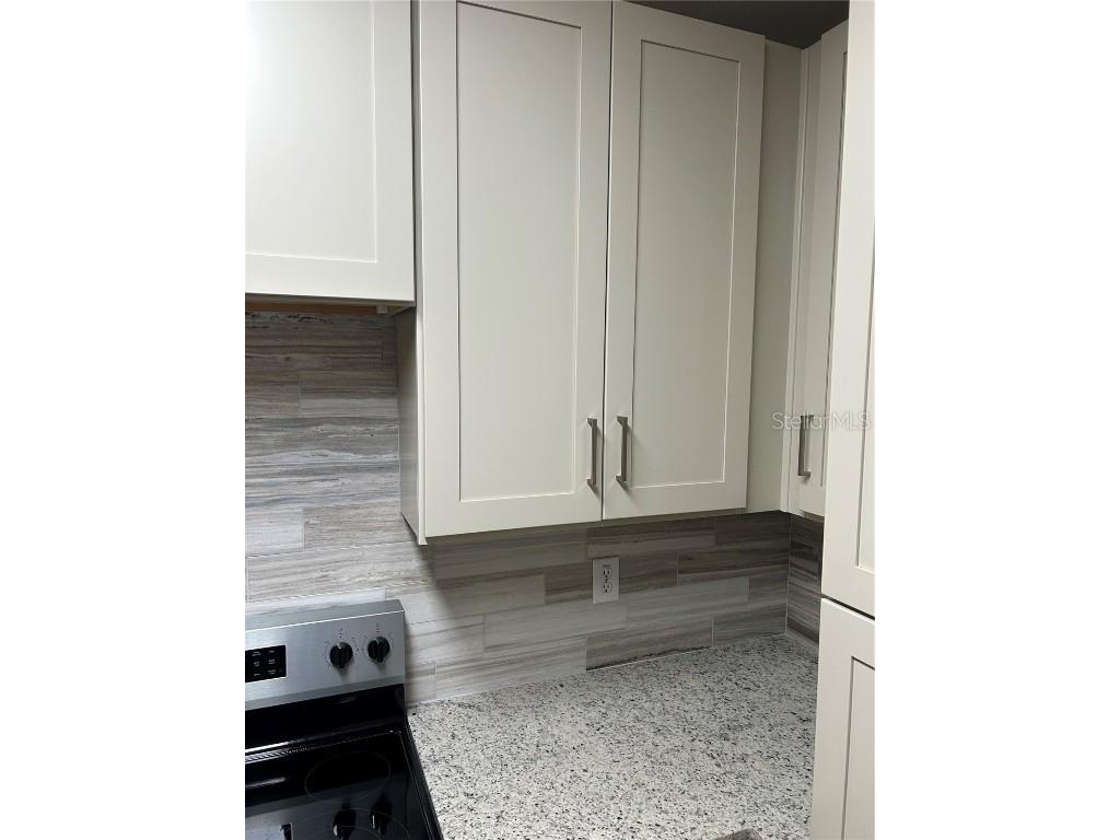 6023 Osprey Lake Circle Riverview FL 33578 TB8437209 image16