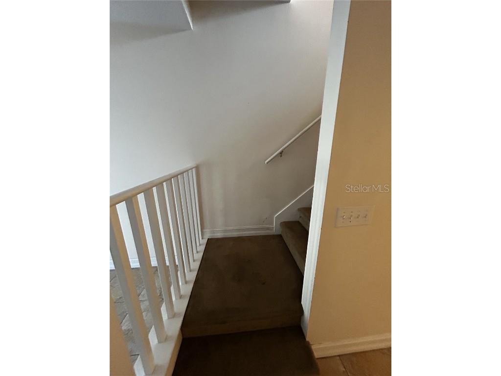 6023 Osprey Lake Circle Riverview FL 33578 TB8437209 image20