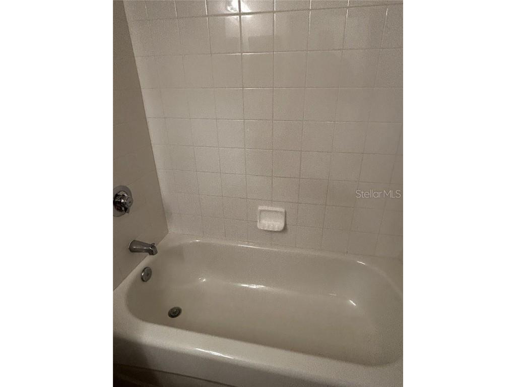 6023 Osprey Lake Circle Riverview FL 33578 TB8437209 image30