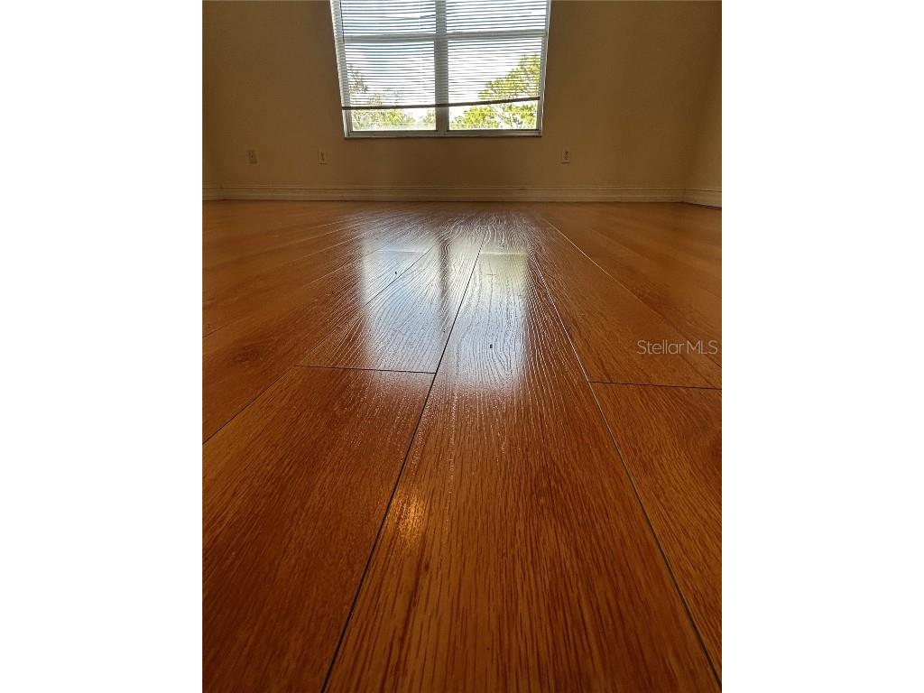 6023 Osprey Lake Circle Riverview FL 33578 TB8437209 image35