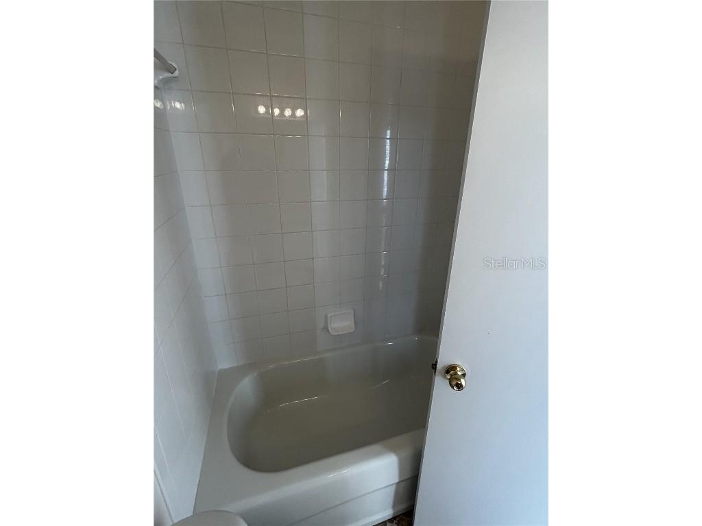 6023 Osprey Lake Circle Riverview FL 33578 TB8437209 image44