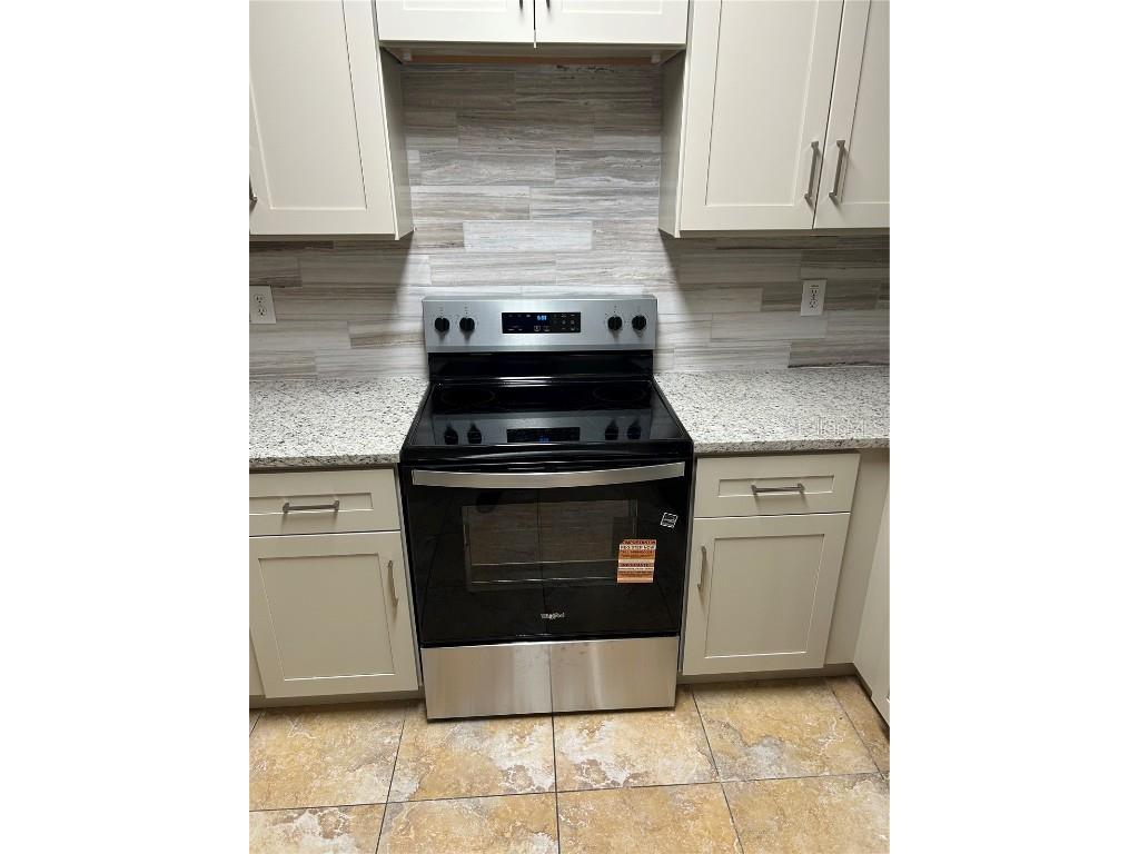 6023 Osprey Lake Circle Riverview FL 33578 TB8437209 image7