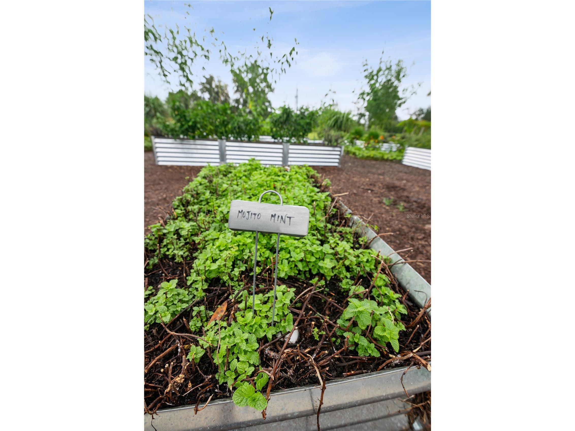 6023 SW 124th Way Archer FL 32618 GC536039 image17