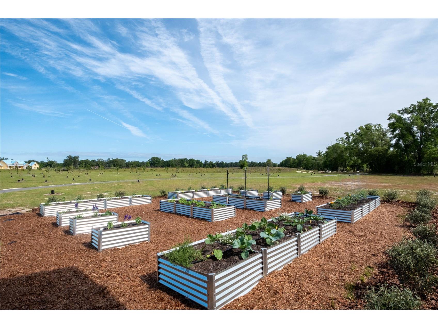 6023 SW 124th Way Archer FL 32618 GC536039 image18