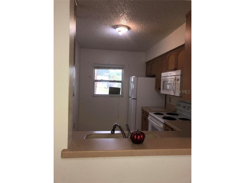 6024 Georgia Avenue New Port Richey FL 34653 O6355405 image22