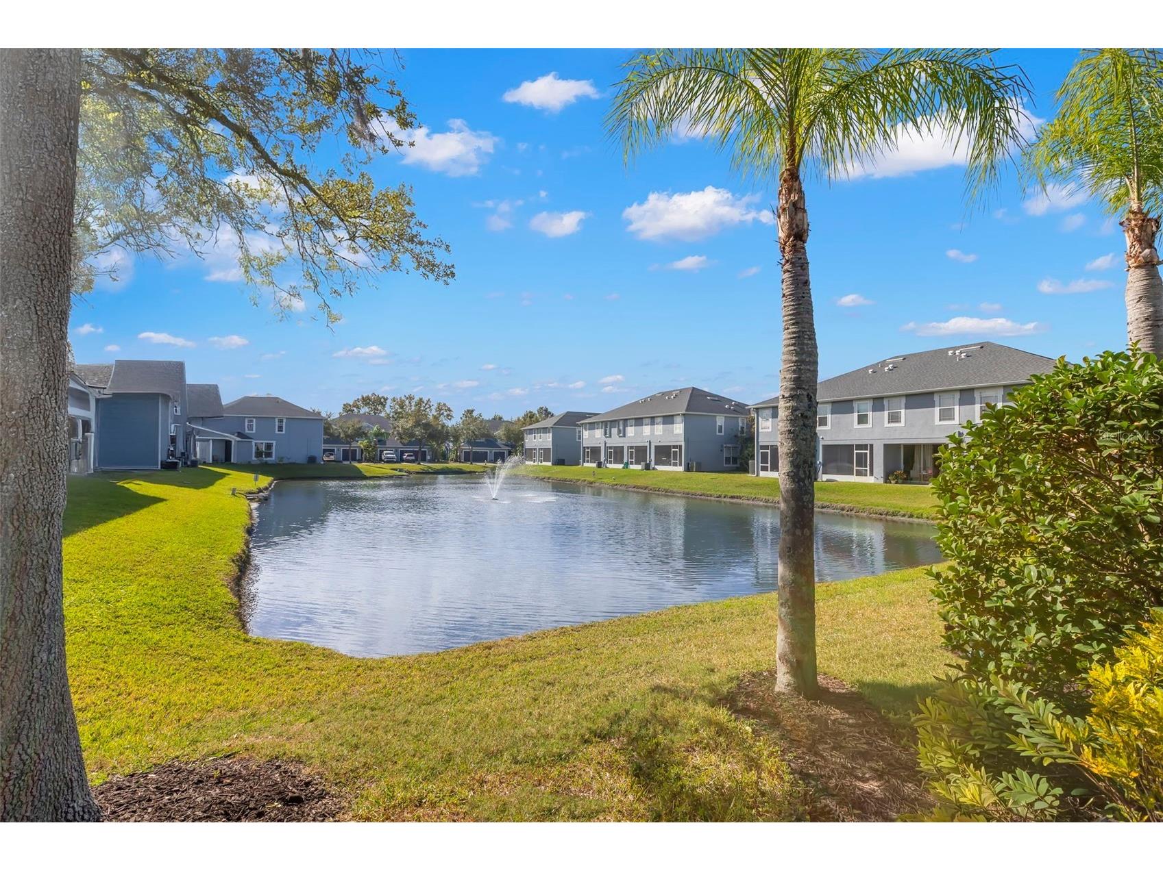 6024 Parkside Meadow Drive Tampa FL 33625 TB8459169 image28