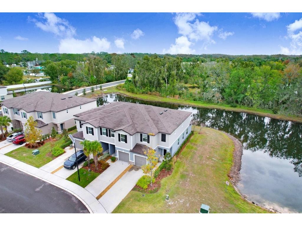 6024 Shiner Street Land O Lakes FL 34638 - LAKE THOMAS TB8455667 image1