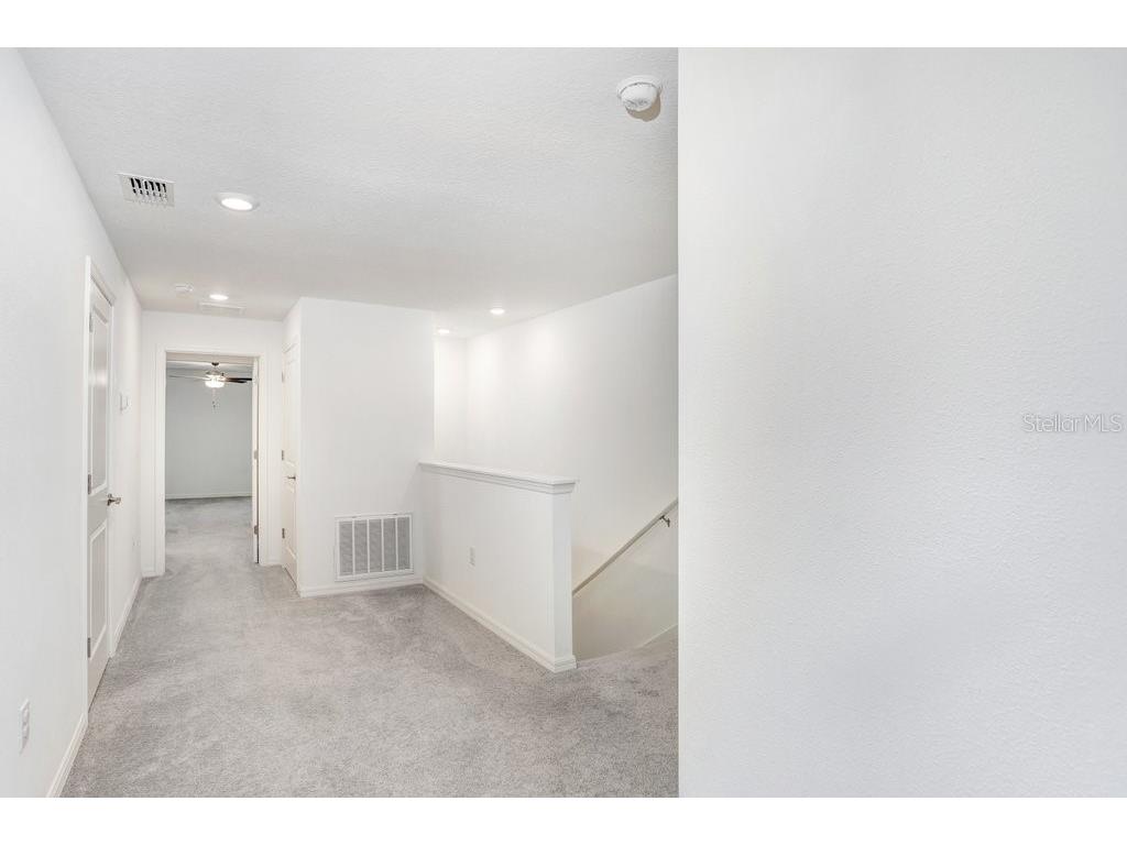 6024 Shiner Street Land O Lakes FL 34638 - LAKE THOMAS TB8455667 image19