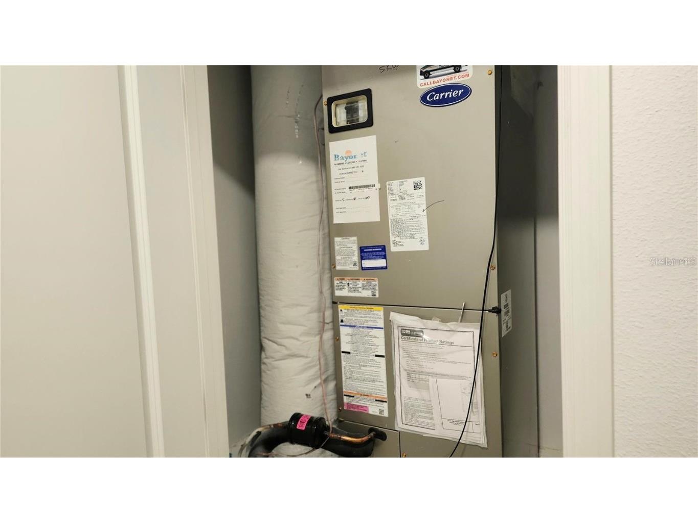 6024 Shiner Street Land O Lakes FL 34638 - LAKE THOMAS TB8455667 image43