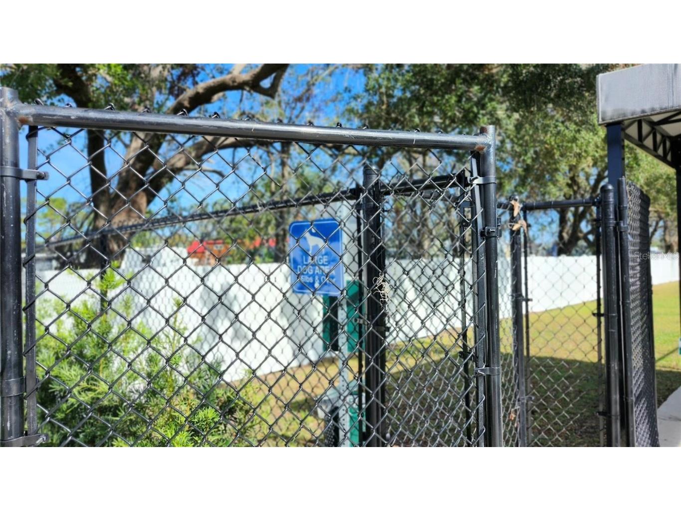 6024 Shiner Street Land O Lakes FL 34638 - LAKE THOMAS TB8455667 image44