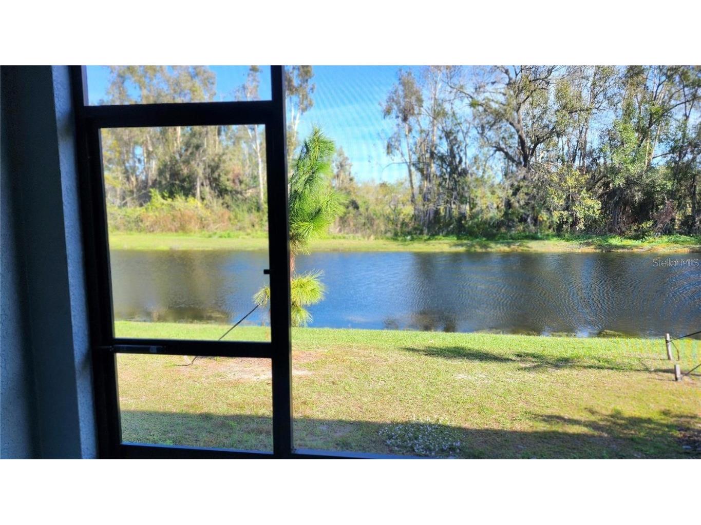 6024 Shiner Street Land O Lakes FL 34638 - LAKE THOMAS TB8455667 image46