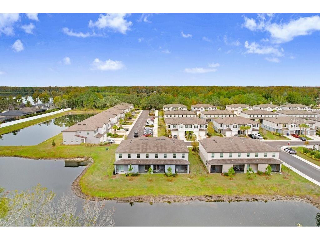 6024 Shiner Street Land O Lakes FL 34638 - LAKE THOMAS TB8455667 image50