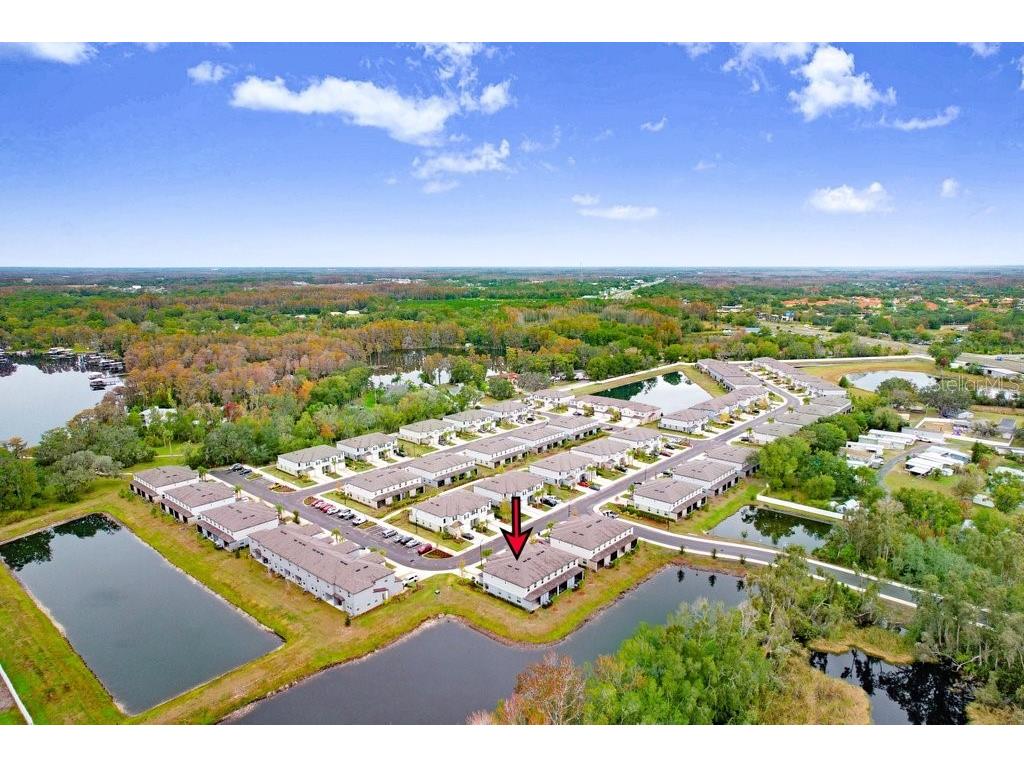 6024 Shiner Street Land O Lakes FL 34638 - LAKE THOMAS TB8455667 image54