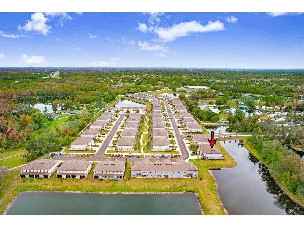 6024 Shiner Street Land O Lakes FL 34638 - LAKE THOMAS TB8455667 image55