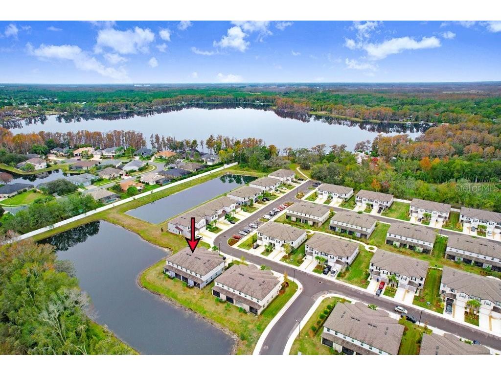 6024 Shiner Street Land O Lakes FL 34638 - LAKE THOMAS TB8455667 image57