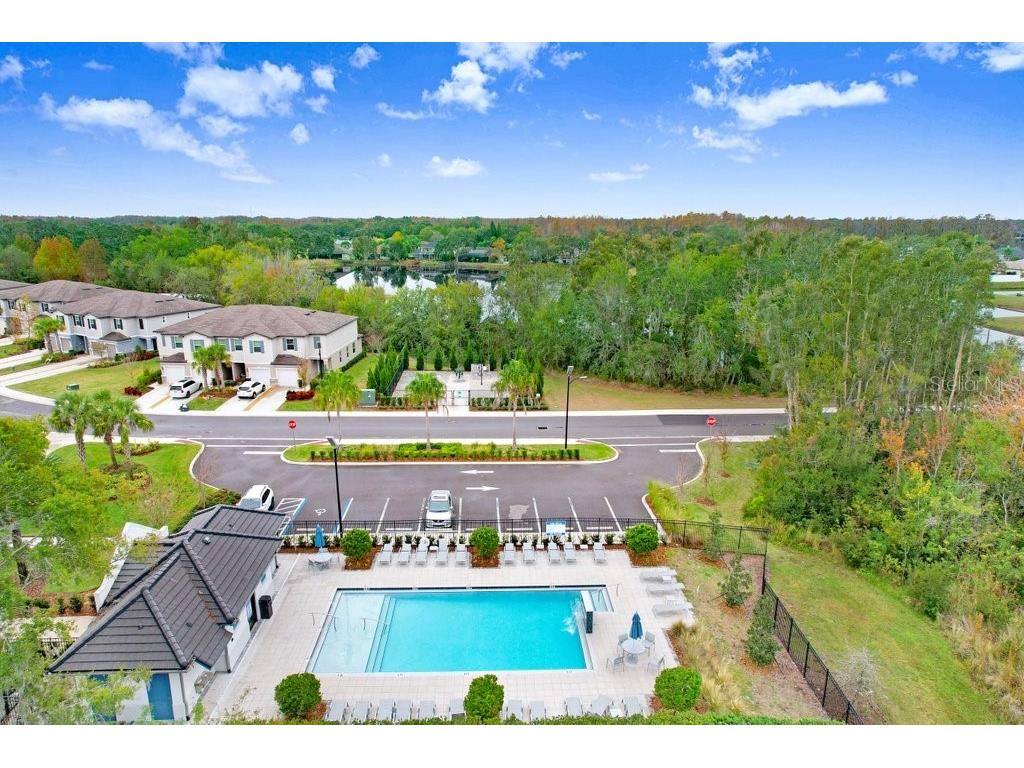 6024 Shiner Street Land O Lakes FL 34638 - LAKE THOMAS TB8455667 image60