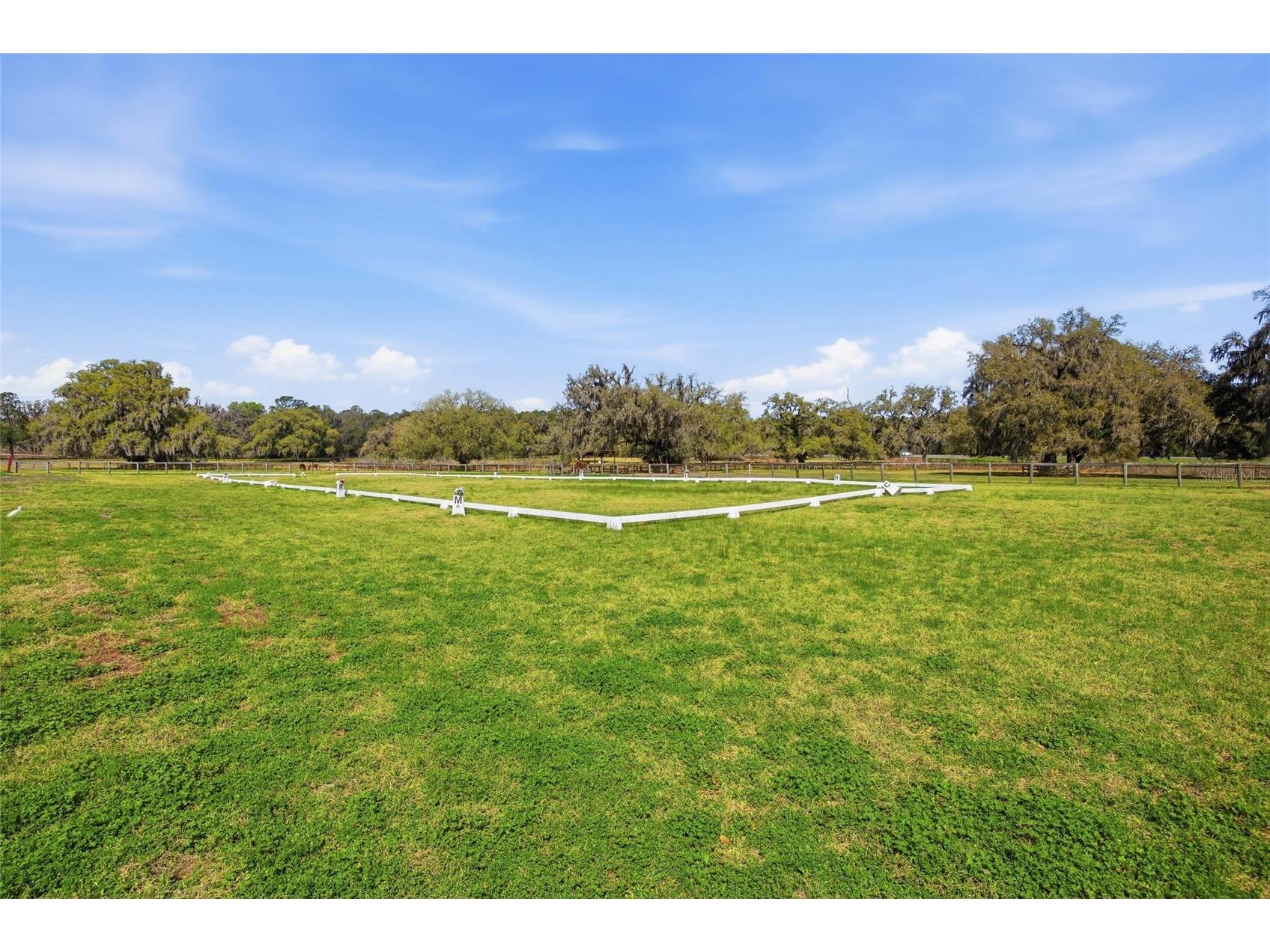 6025 NW 115th Avenue Ocala FL 34482 OM719748 image39