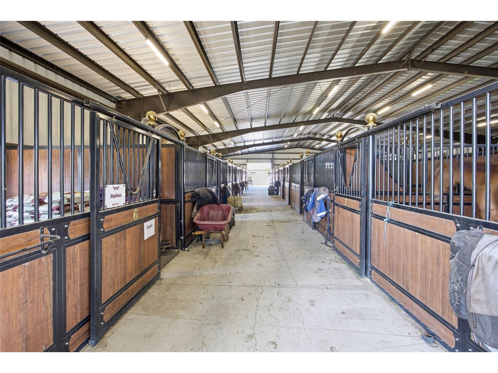 6025 NW 115th Avenue Ocala FL 34482 OM719748 image5