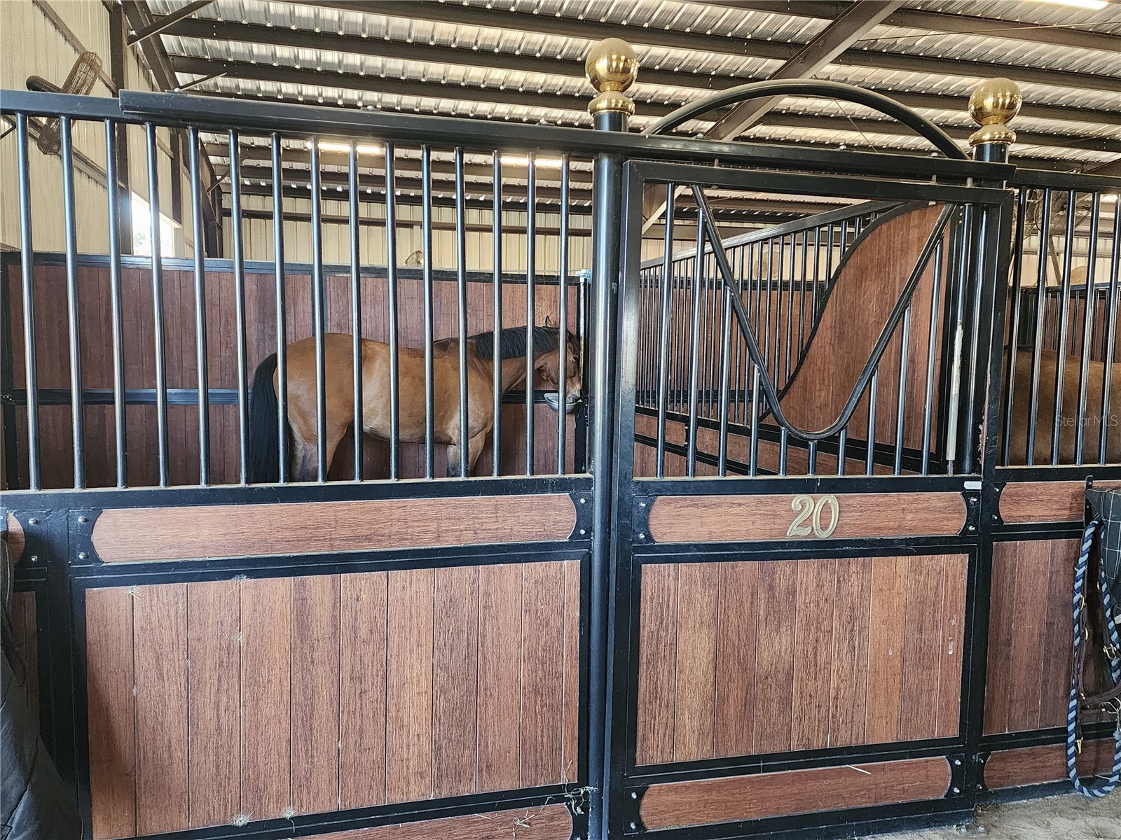 6025 NW 115th Avenue Ocala FL 34482 OM719748 image50