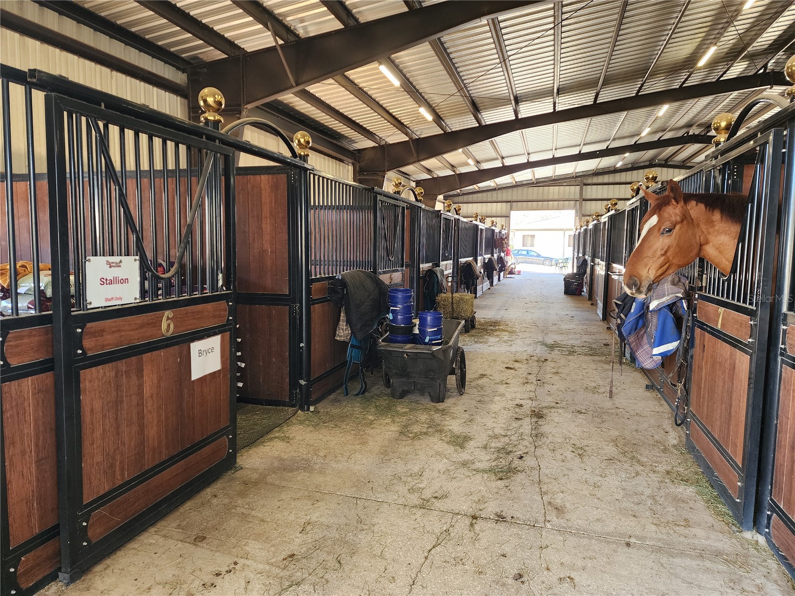 6025 NW 115th Avenue Ocala FL 34482 OM719748 image51