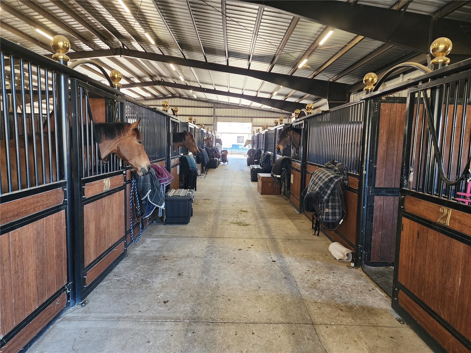 6025 NW 115th Avenue Ocala FL 34482 OM719748 image52