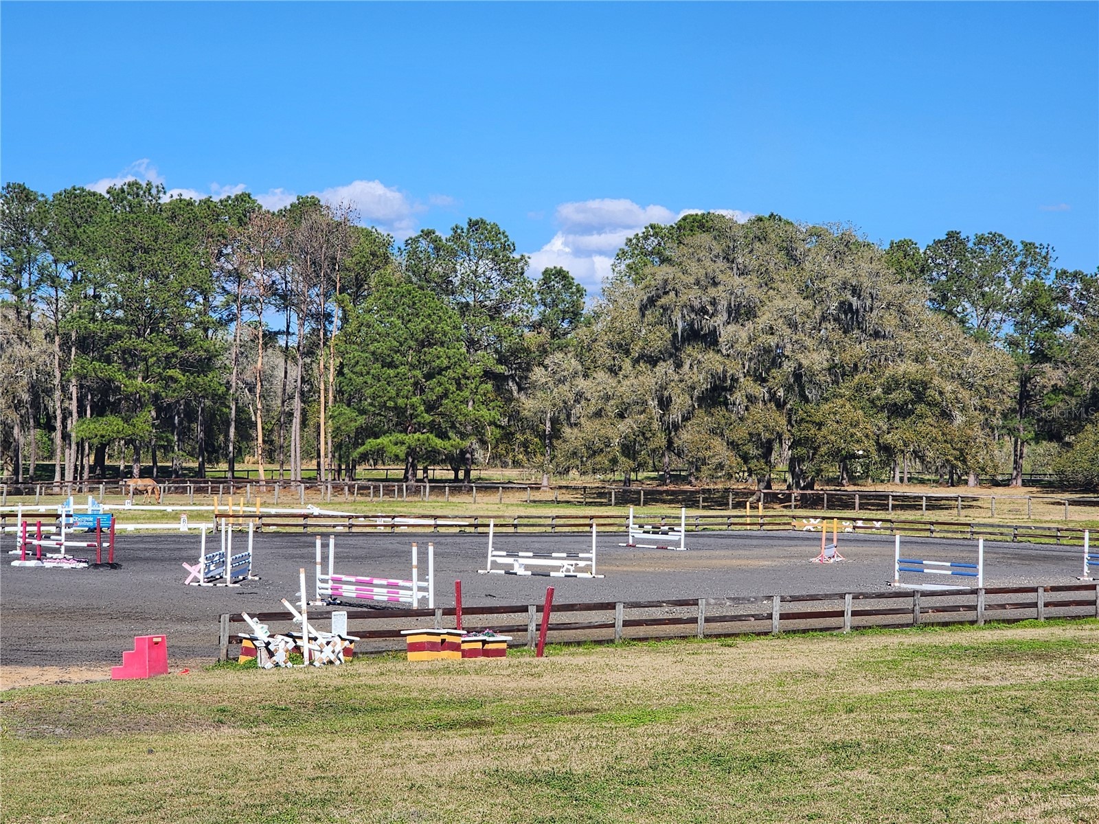 6025 NW 115th Avenue Ocala FL 34482 OM719748 image54