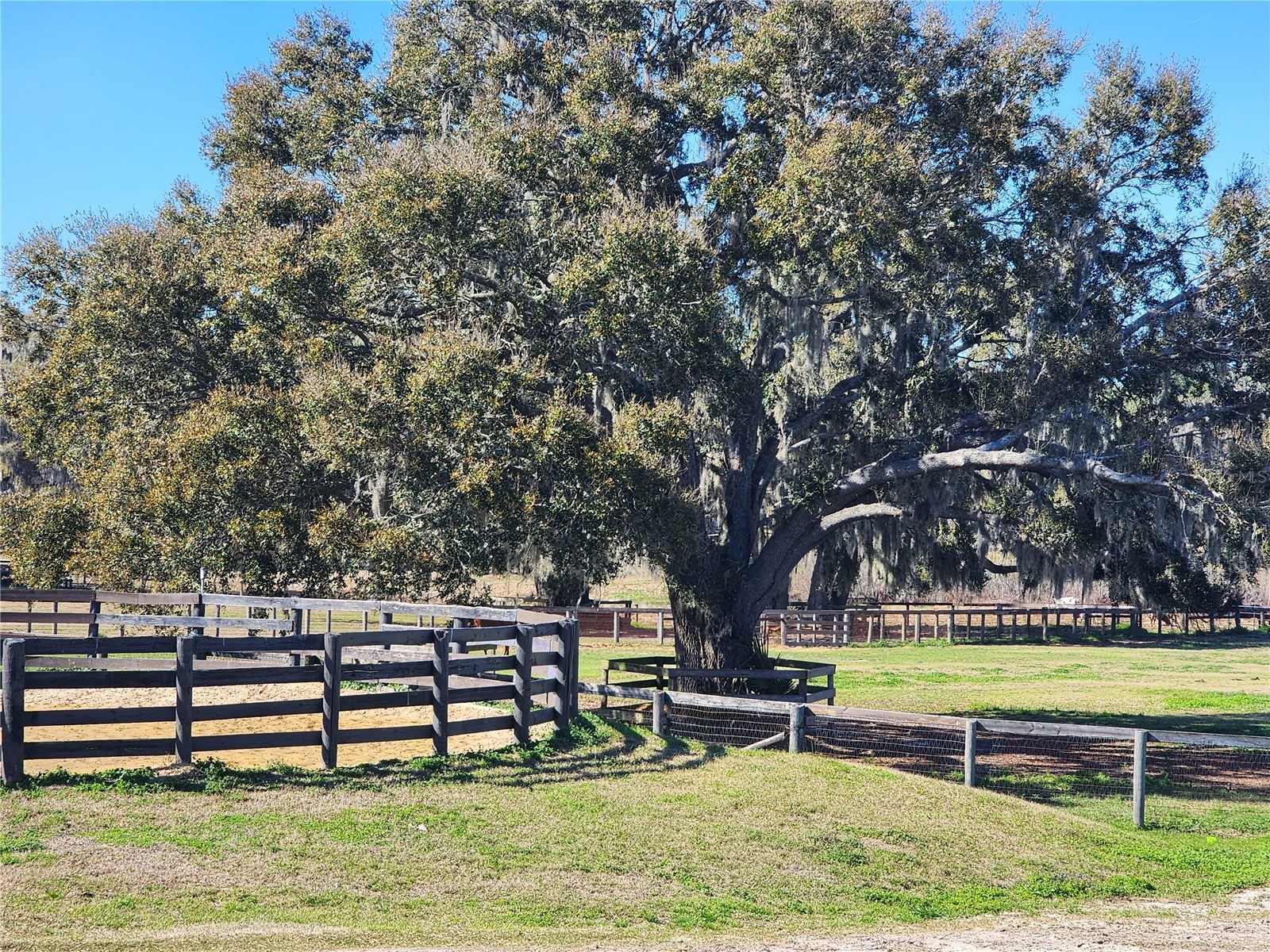 6025 NW 115th Avenue Ocala FL 34482 OM719748 image55