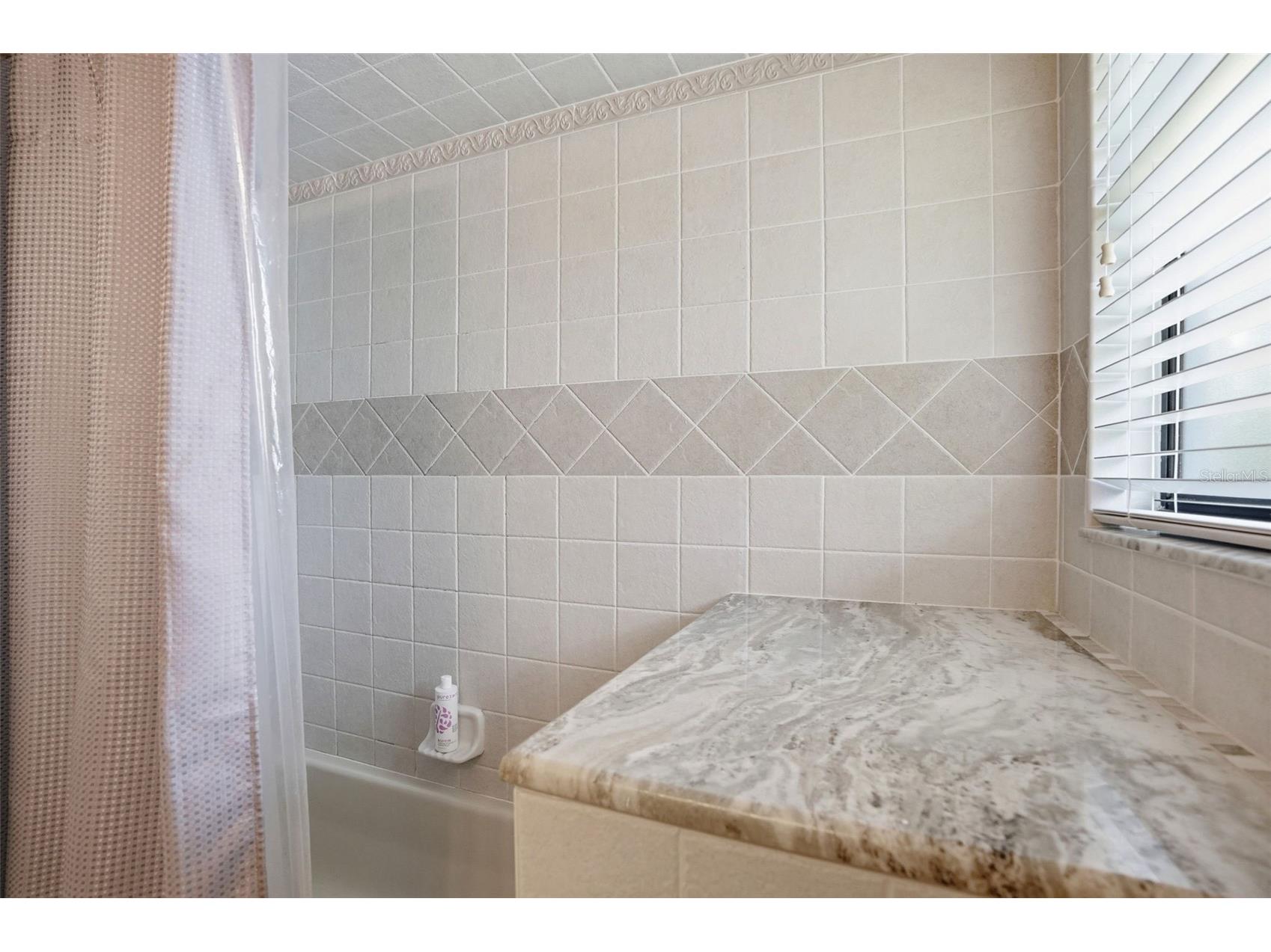 6025 Randan Court New Port Richey FL 34652 TB8519658 image60