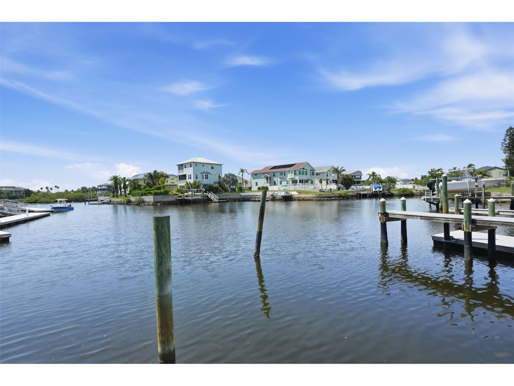 6025 Randan Court New Port Richey FL 34652 TB8519658 image78