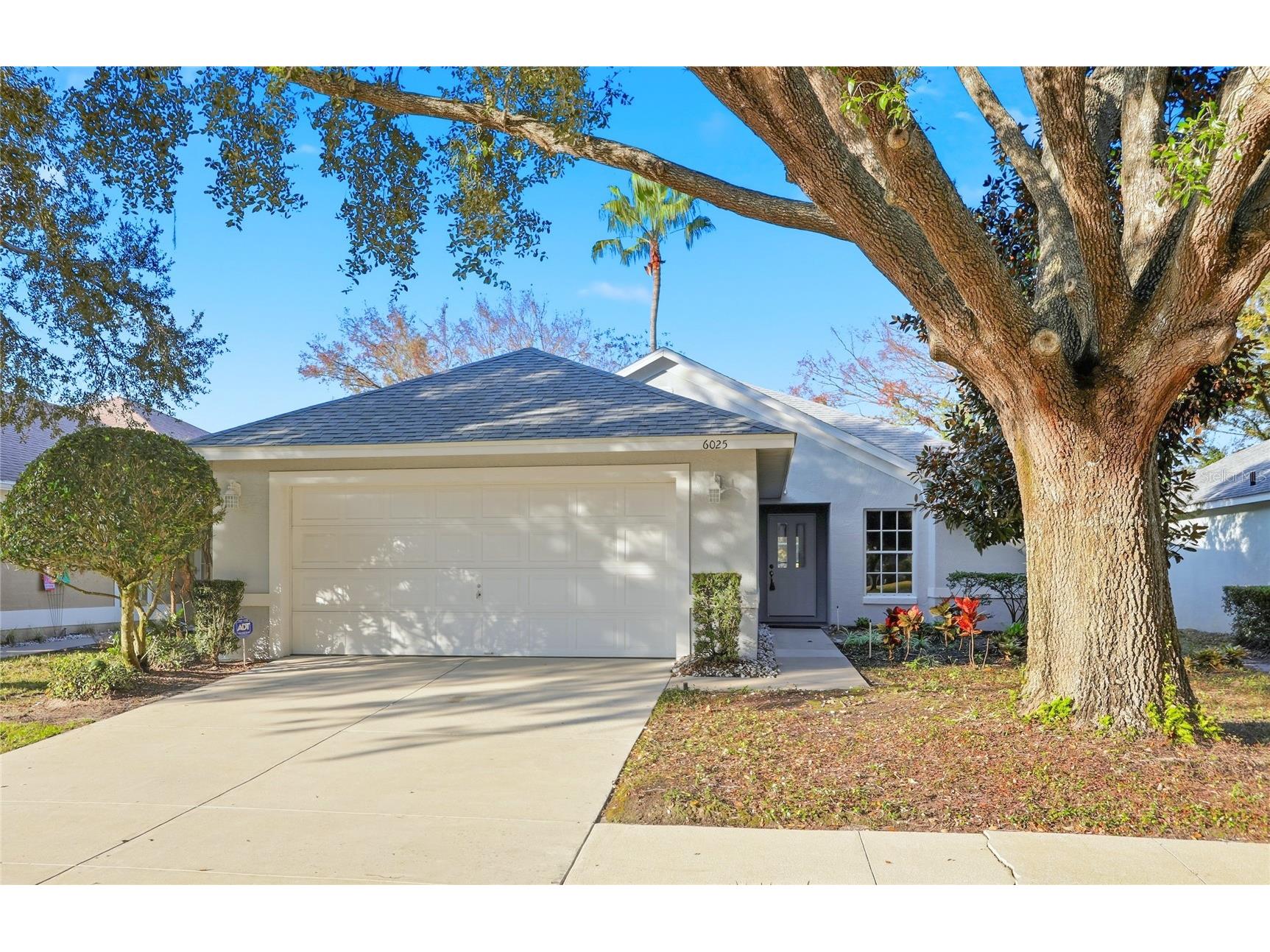6025 Spring Creek Court Mount Dora FL 32757 O6371686 image1