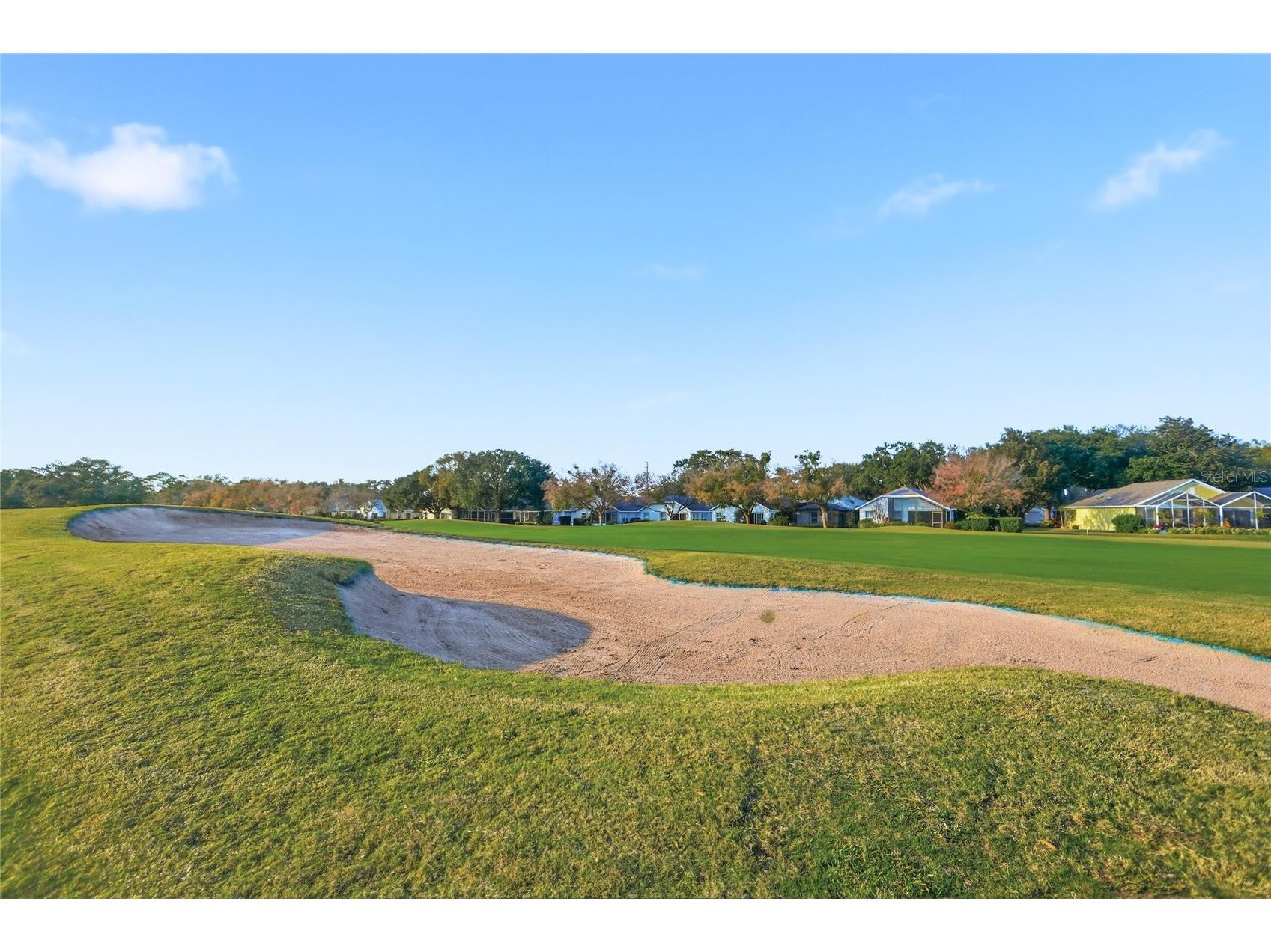 6025 Spring Creek Court Mount Dora FL 32757 O6371686 image22